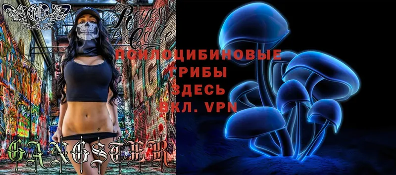 Галлюциногенные грибы MAGIC MUSHROOMS  Североморск 